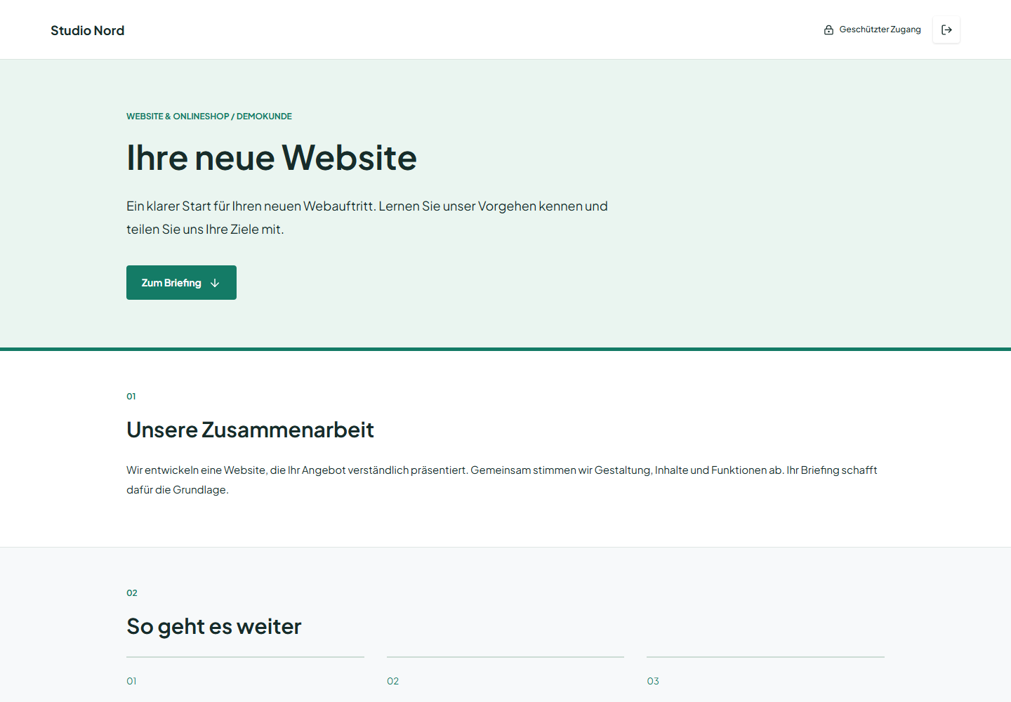 Kundenansicht einer individuellen Briefing-Seite mit Website-Angebot und Zusammenarbeitsschritten